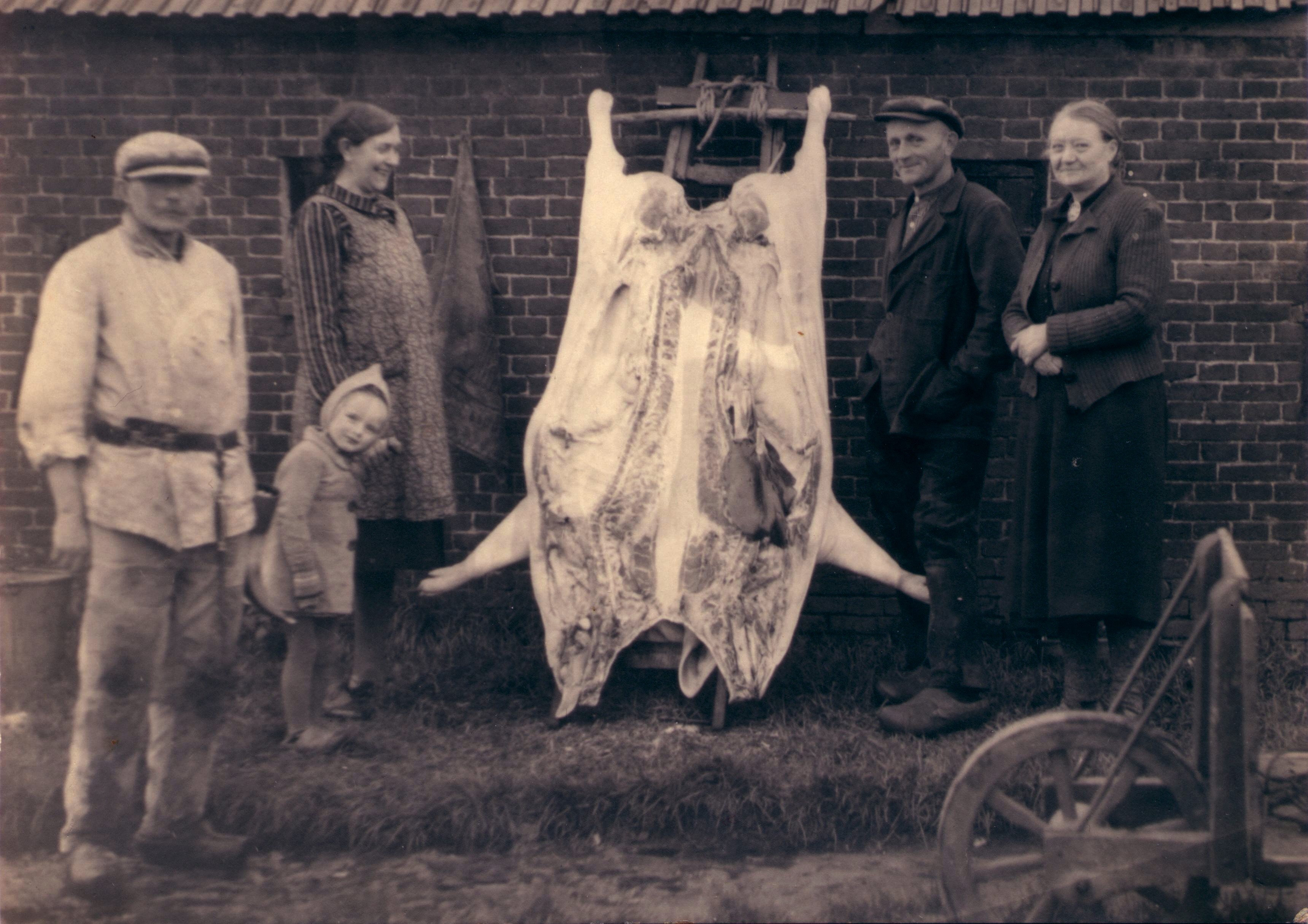 Varken slachten bij de fam. Berends te Roden